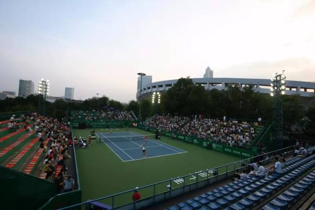 他希望维吉 他希望维吉